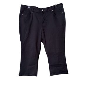 Lane Bryant Petal Black Pants‎